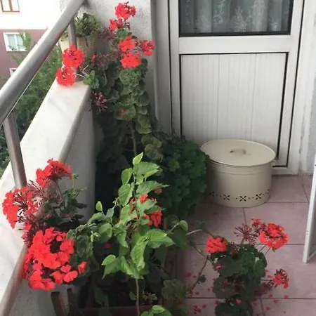 A Single In Home, одноместная комната в доме, Simple, Habitación Individual * Стамбул